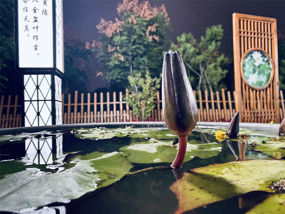 DB真人旗舰·(中国)集团
